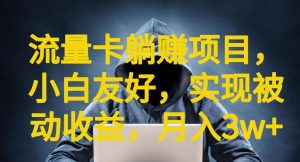 2023流量卡躺赚项目，小白友好，开设后台，实现被动收益，只要出卡，就能一直赚钱，利润高昂_麦田吧