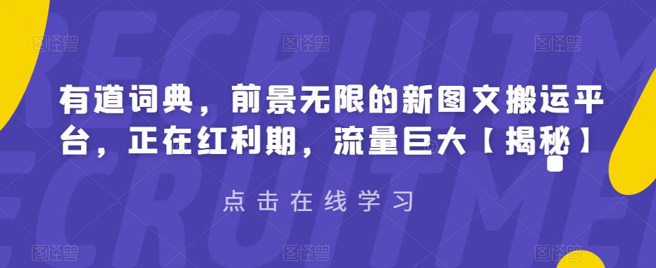 图片[2]_2023有道词典，前景无限的新图文搬运平台，正在红利期，流量巨大_麦田吧