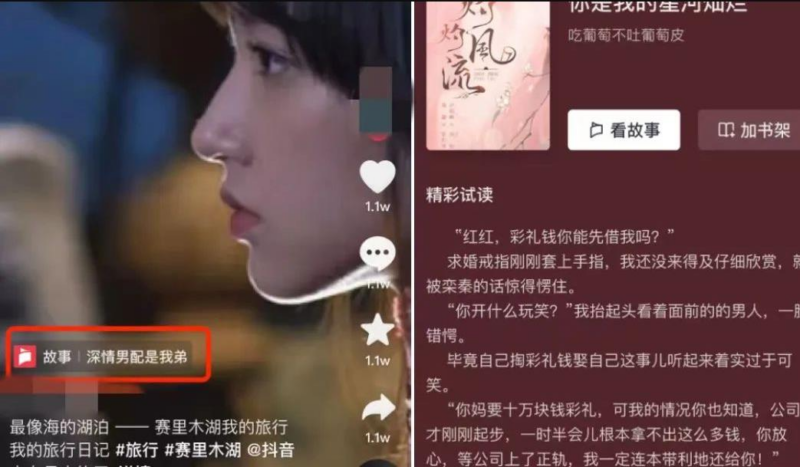 抖音故事新项目 小说推文新玩法_麦田吧