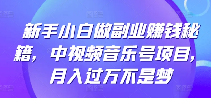 新手小白做副业赚钱秘籍 中视频音乐号项目 月入过万不是梦_麦田吧