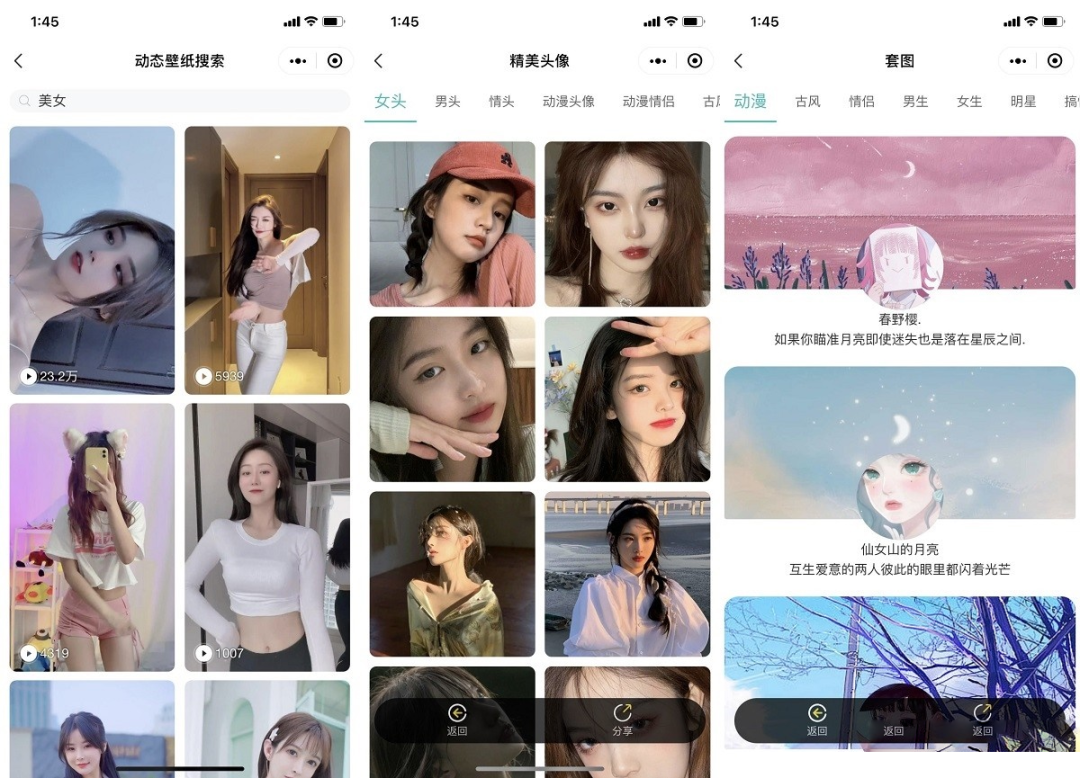 新版UI云开发壁纸小程序源码 微信QQ双端-2